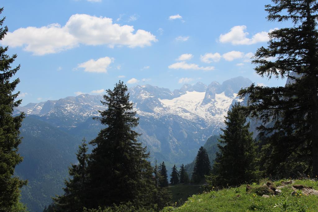 Salzburger Dolomitenhof Annaberg im Lammertal Exteriör bild