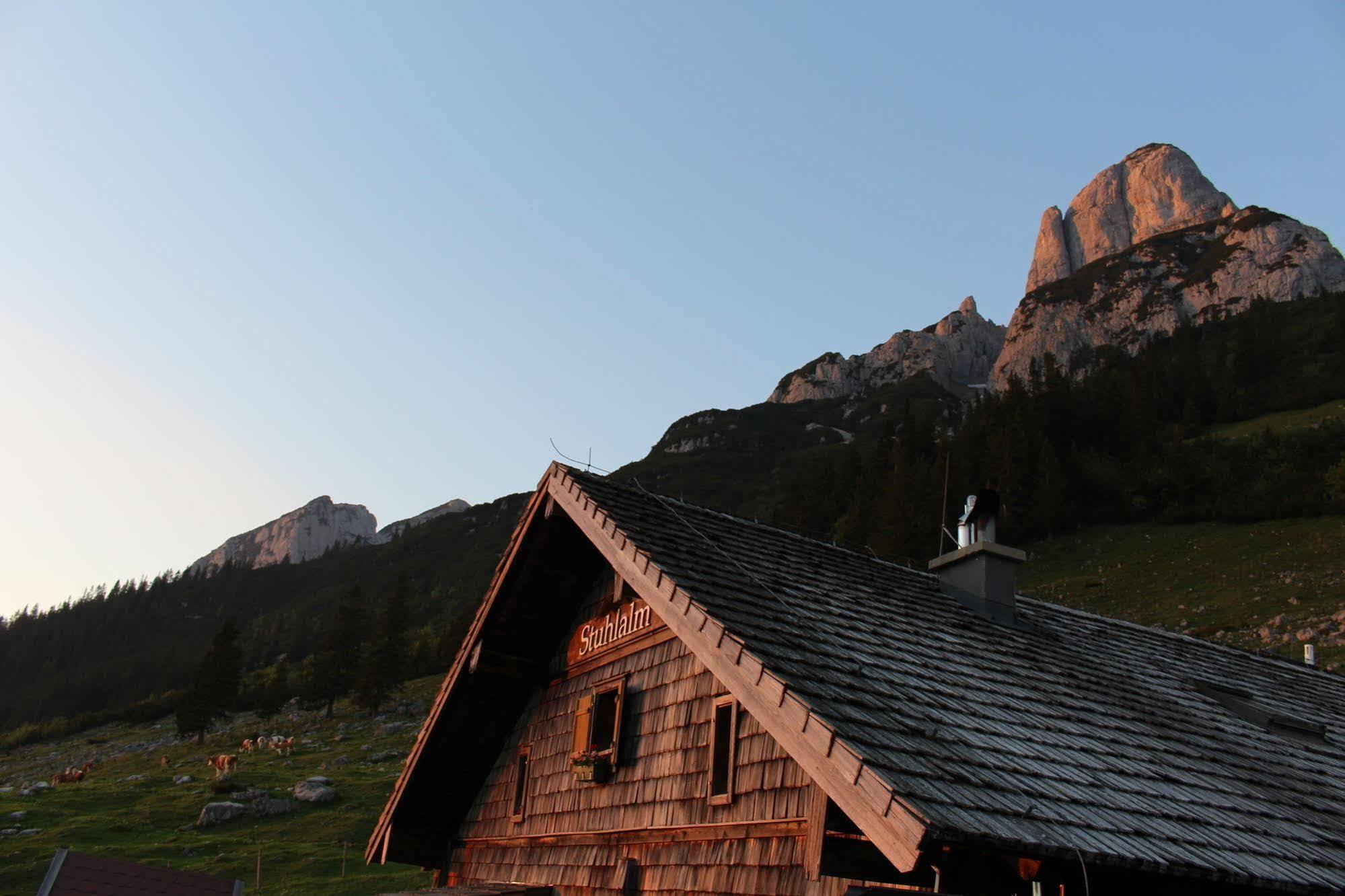 Salzburger Dolomitenhof Annaberg im Lammertal Exteriör bild