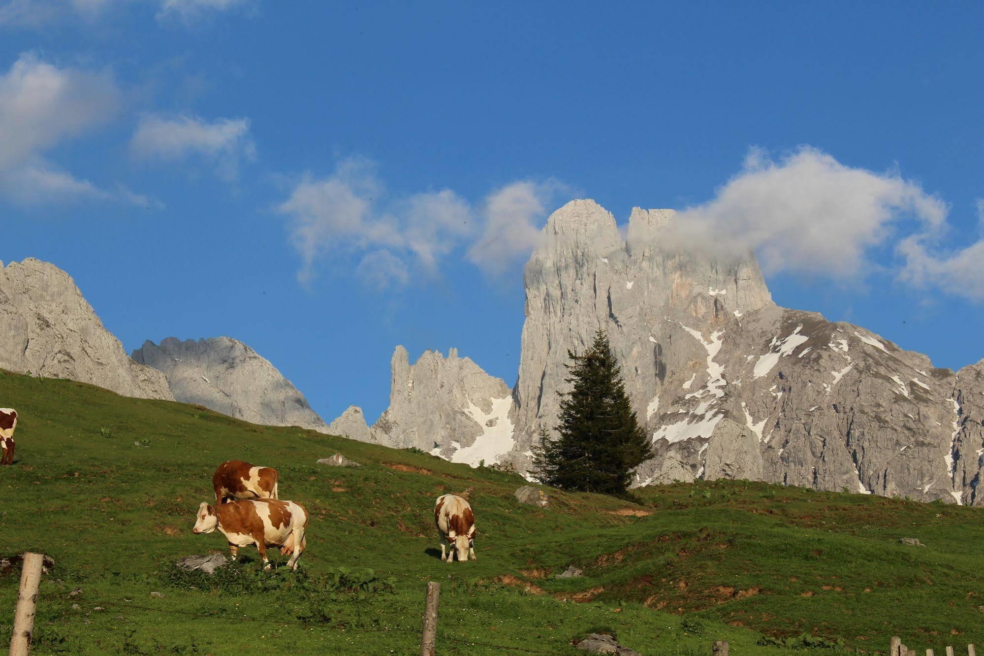 Salzburger Dolomitenhof Annaberg im Lammertal Exteriör bild